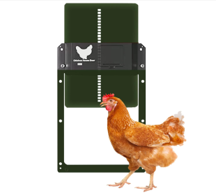 Automatic Chicken Door, Smart Light Sensor Control, Chicken Door Opener, Battery Operated, Multi Mode Chicken Flap, Evening and Morning Delayed Openin (Color: Green)